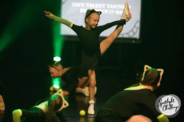 Spotlight Challenge, Viimsi 2026